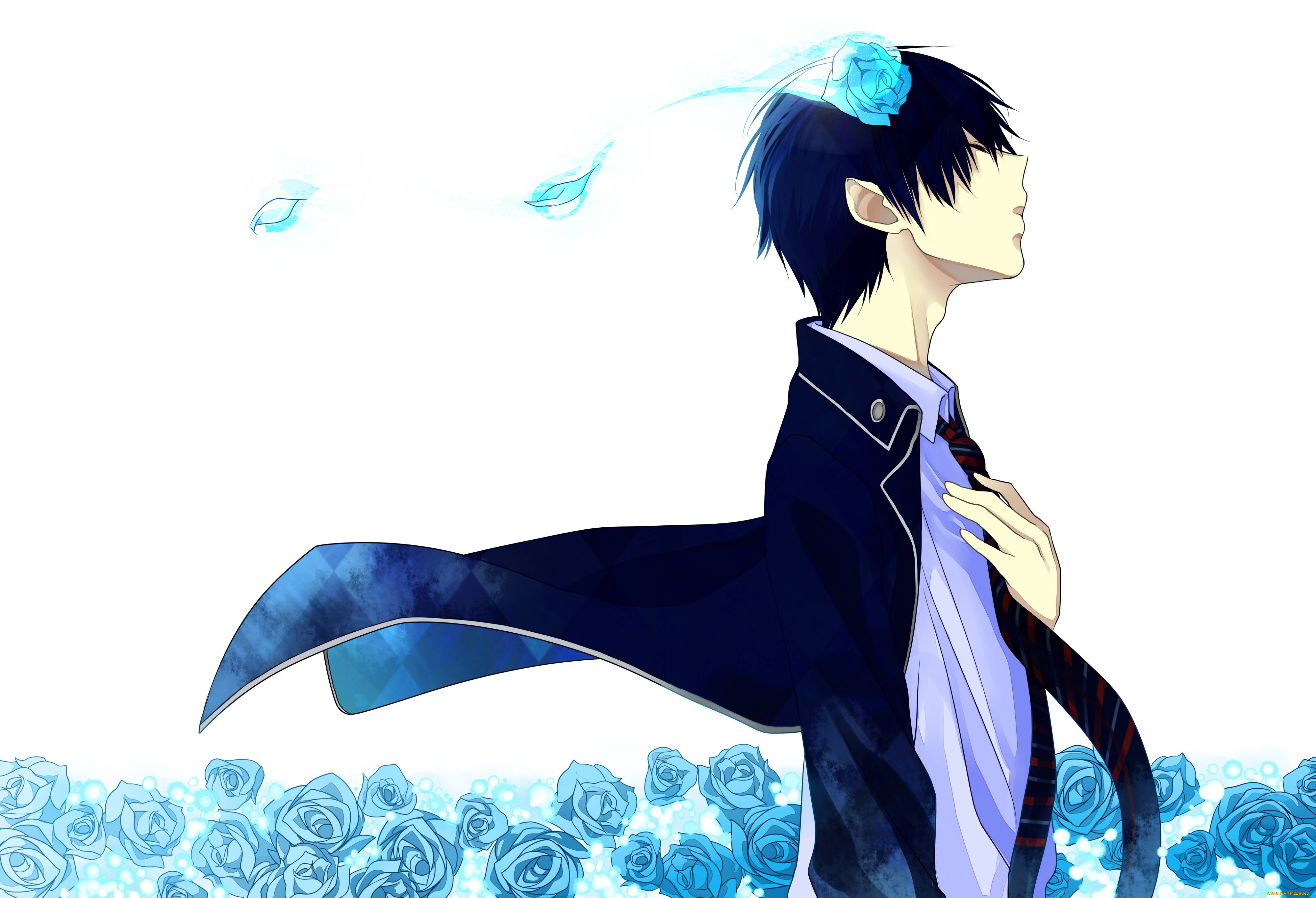 , ao no exorcist, , , , 